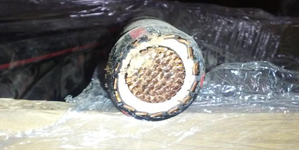Picture of Double Insulated Cable